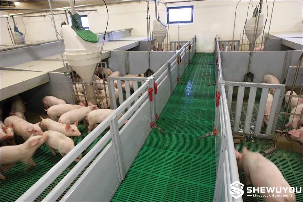 Multi-Zone Piglet Nursery Pen