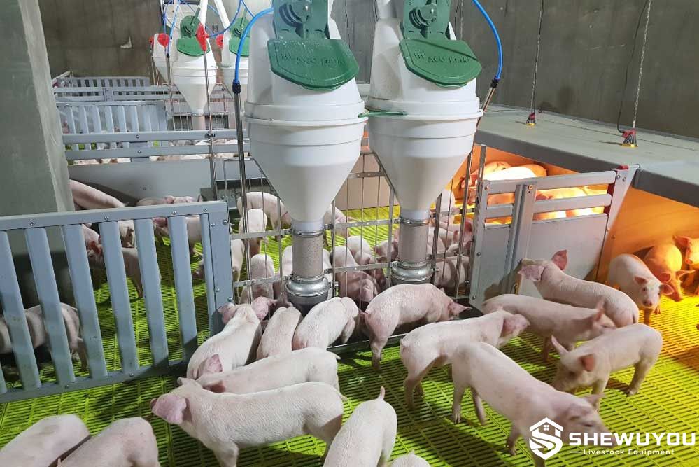 Commercial Multi-Zone Piglet Nursery House