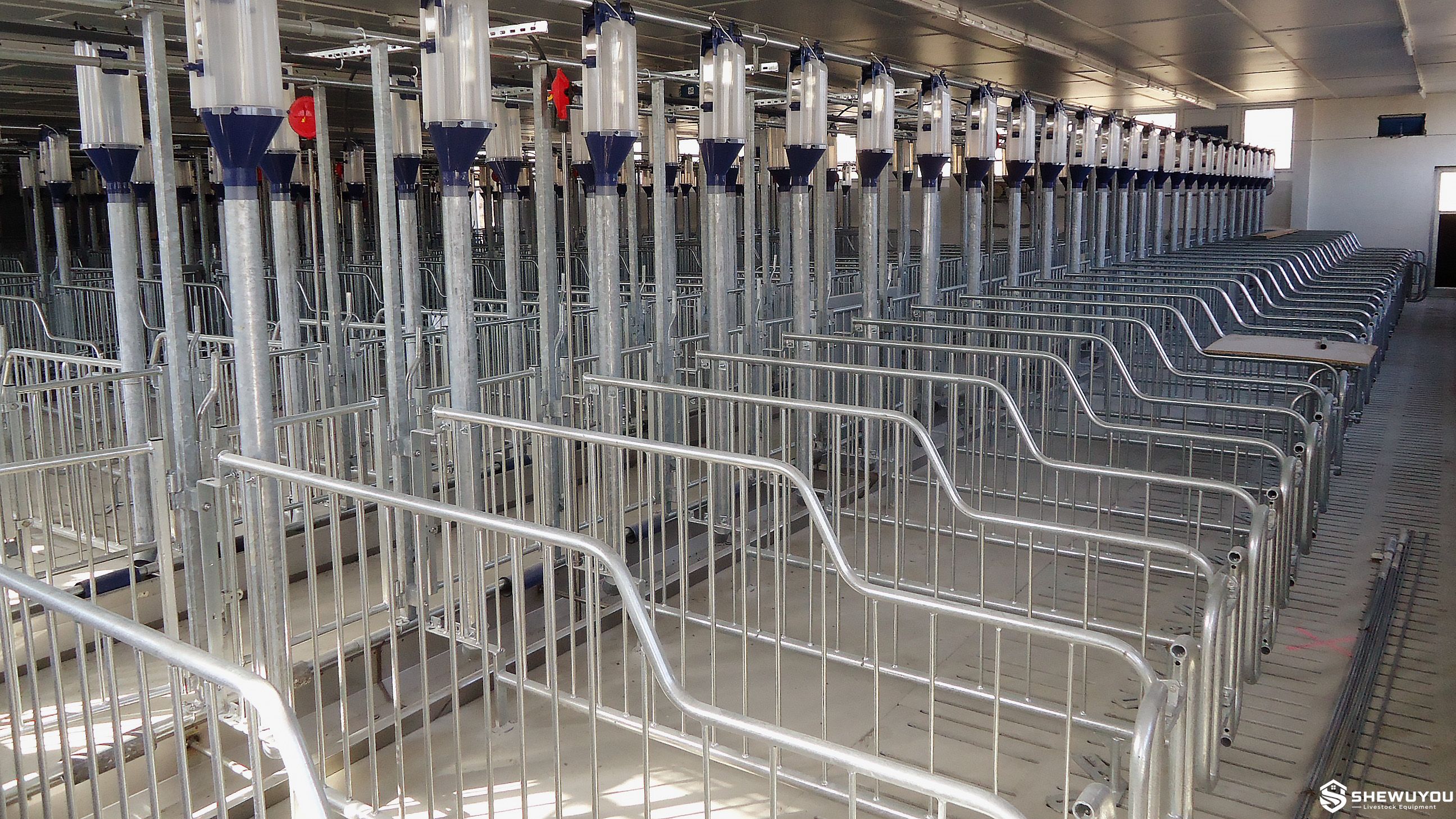 Galvanized Sow Mating Stalls with Feed Dispensers