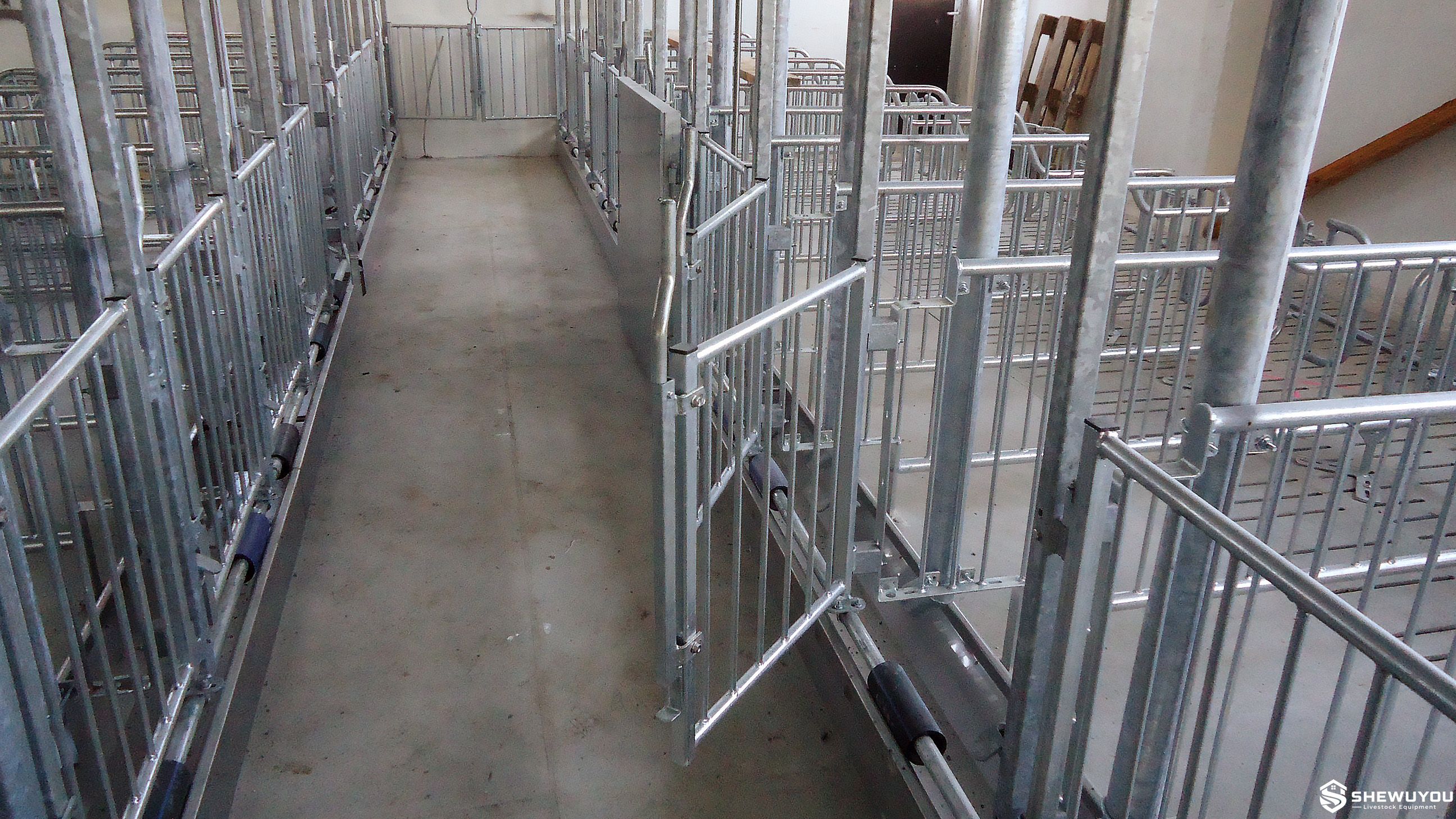 Commercial Sow Mating Stall Installation