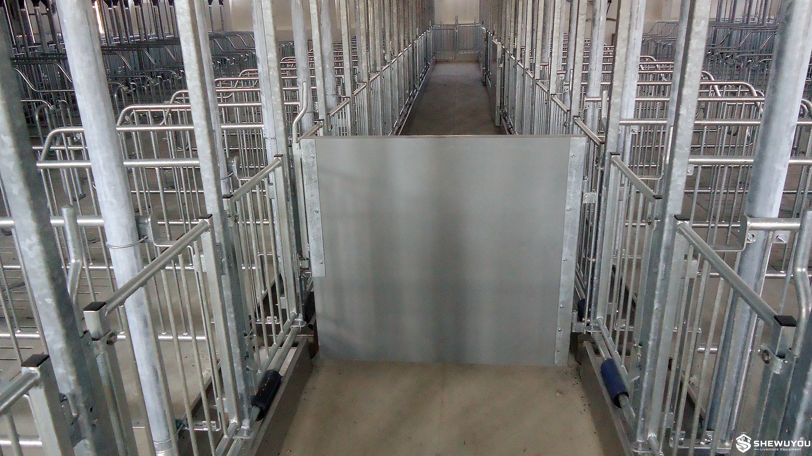 Sow Insemination Stall and Boar Aisle Gate