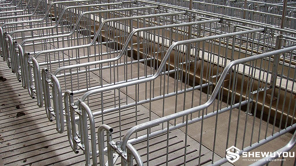 Hot Dip Galvanized Sow Breeding Stall