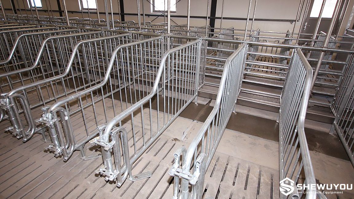 Sow Mating Stall Rear Gate System