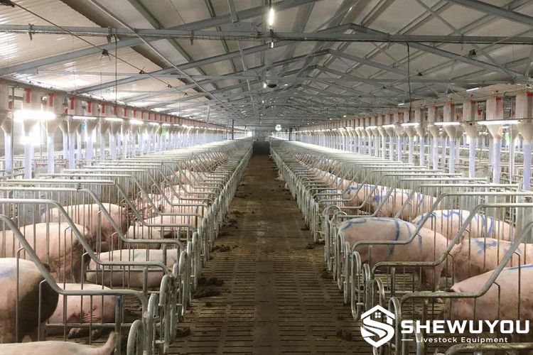 combined mating and gestation stall for sows