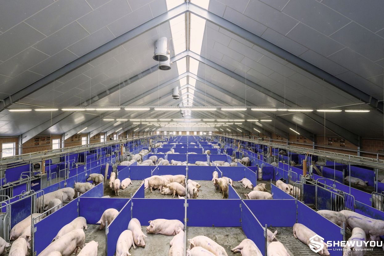 commercial gestation barn group pen system