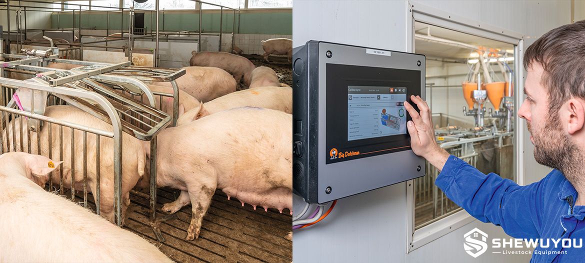 Electronic Sow Feeding Control System for Commercial Pig Farm