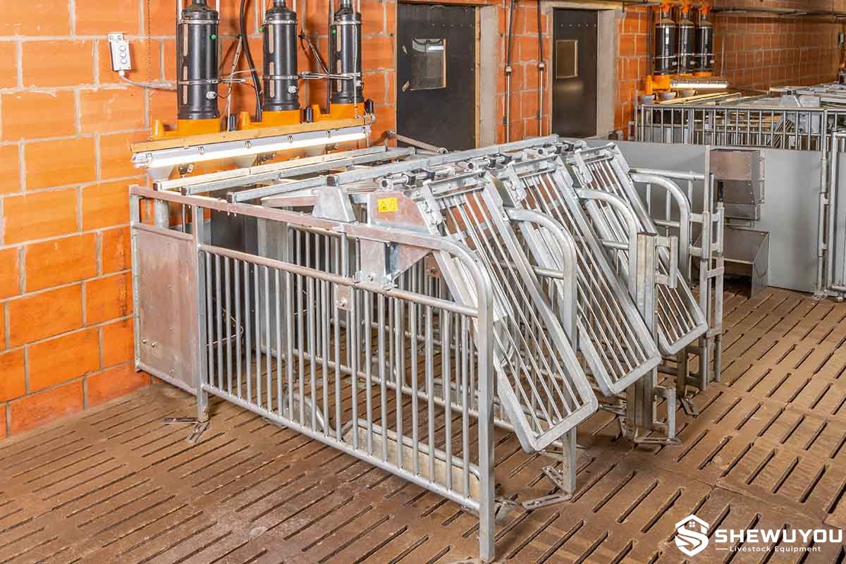RFID free access sow feeding stall