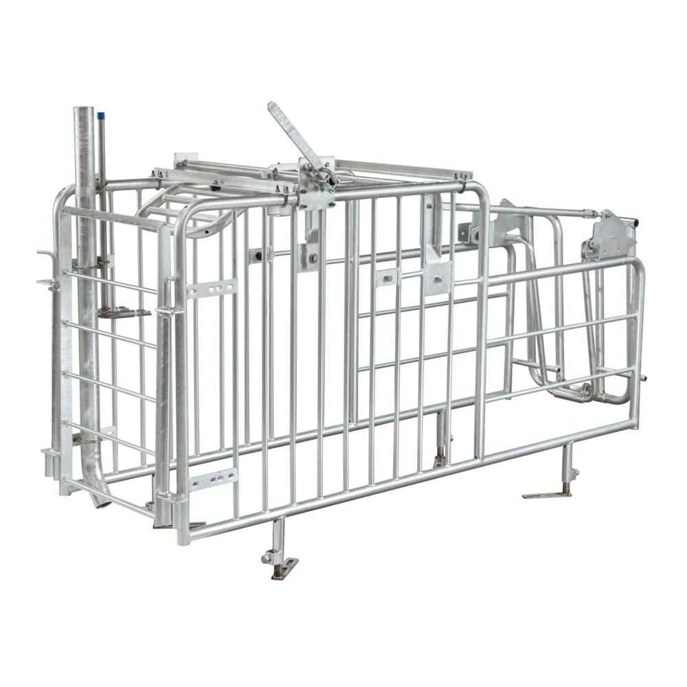 Adjustable Galvanized Sow Mating and Gestation Stall
