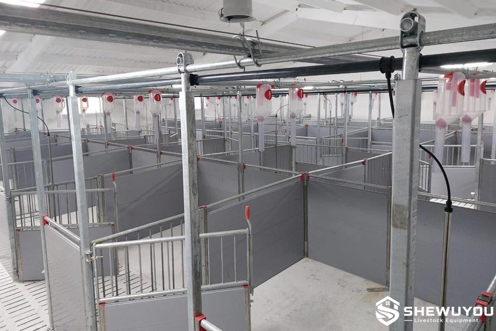 PVC panel sow gestation pen