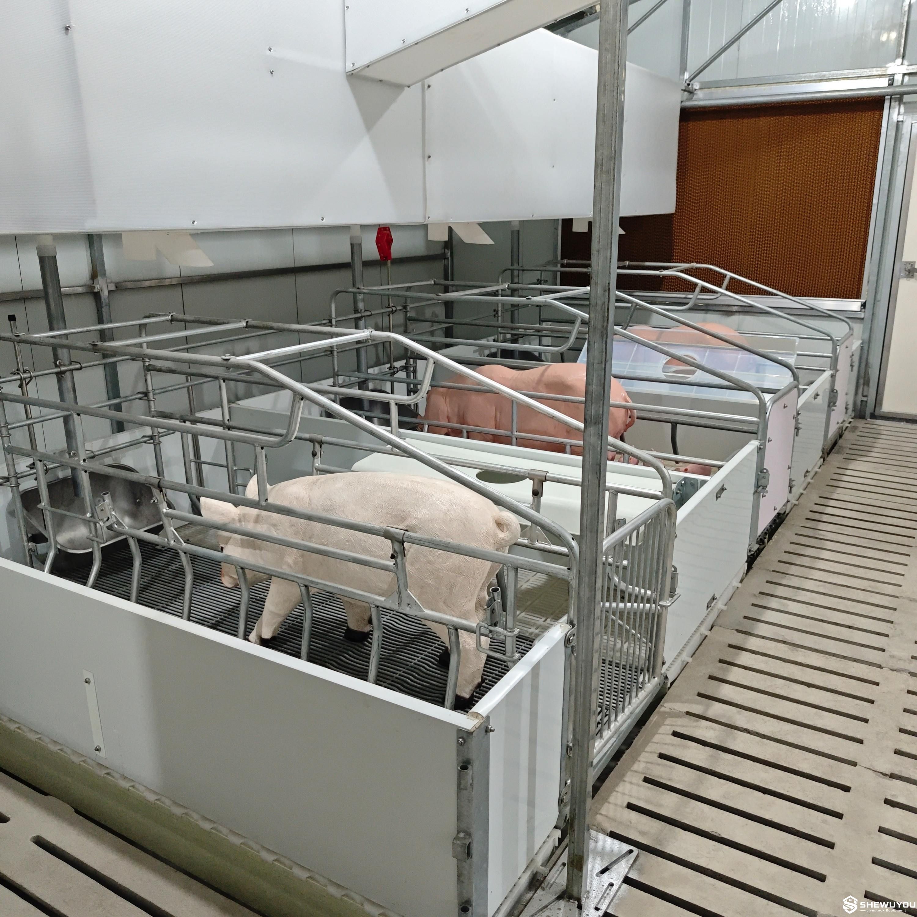 PVC panel pig pen with galvanized steel structure
