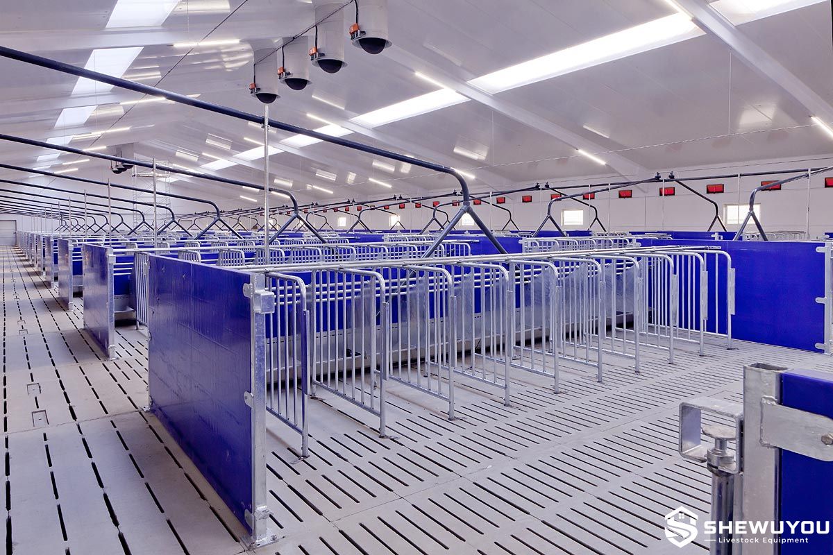 Heavy-Duty Fiber Panel Sow Gestation Pen