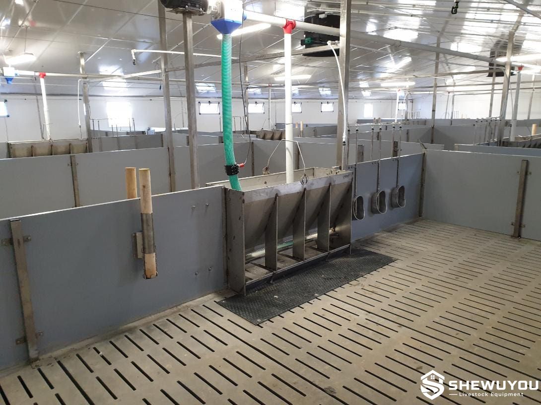 finisher pig pen with slatted floor and feeder