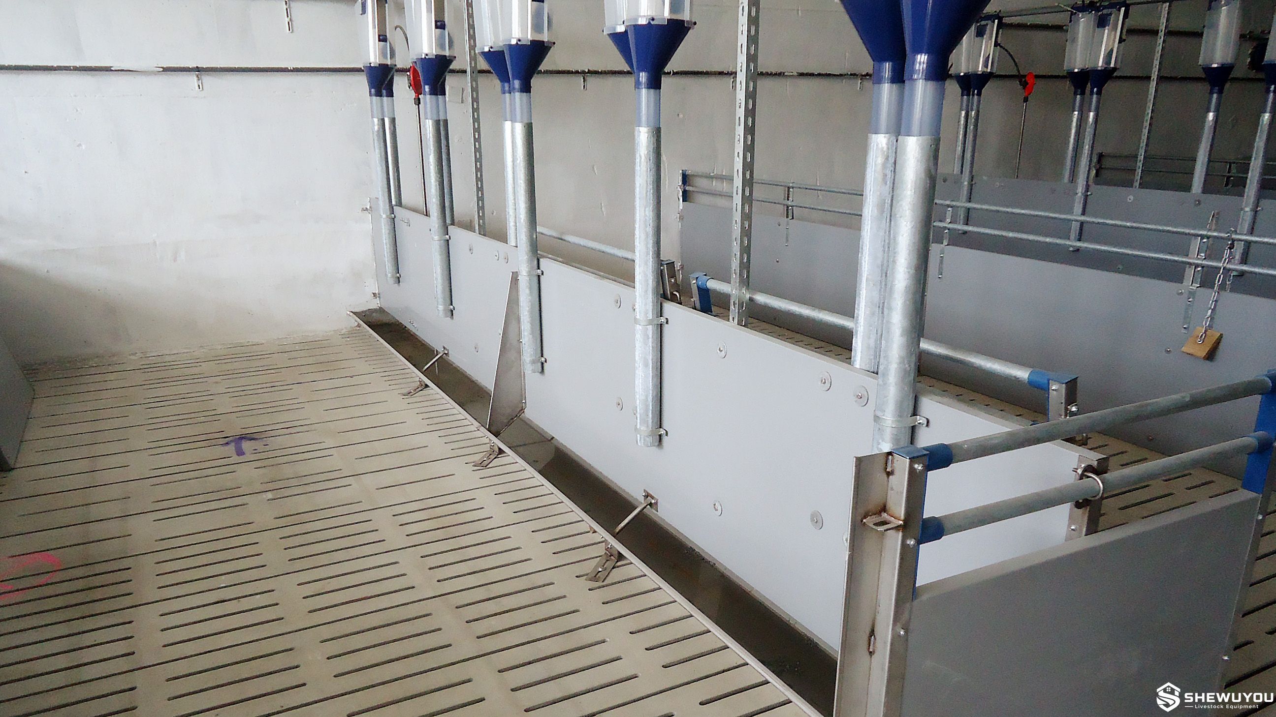 Commercial Pig Pen with Dry Feeding System