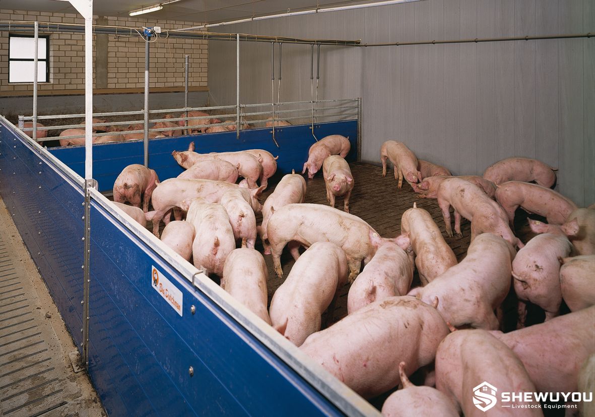 Pig Finishing Pen with Liquid Feeding System