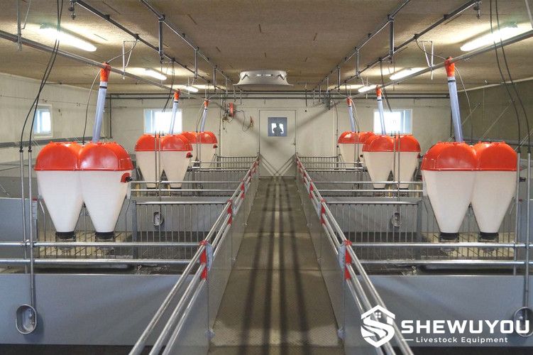 Hygienic PVC Finisher Pig Pen
