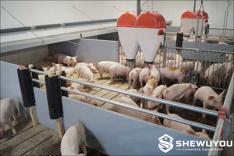 Hygienic PVC finisher pig pen system