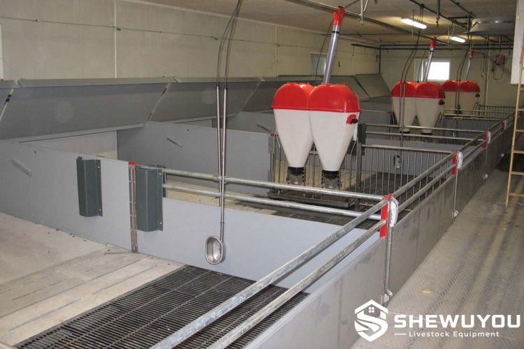 PVC pig pen feeding and housing layout