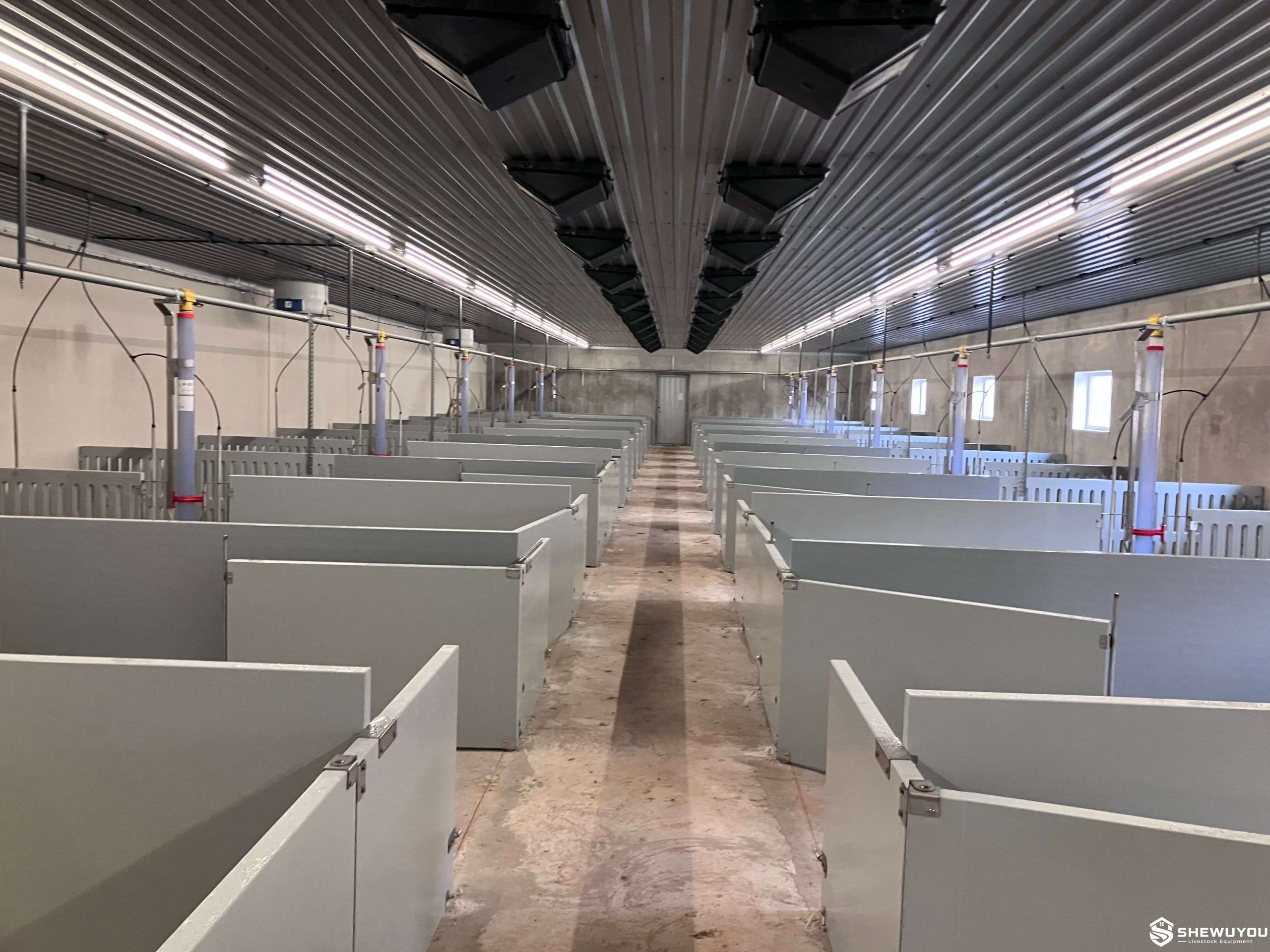 Heavy-Duty 50 mm Plastic Panel Pig Pen
