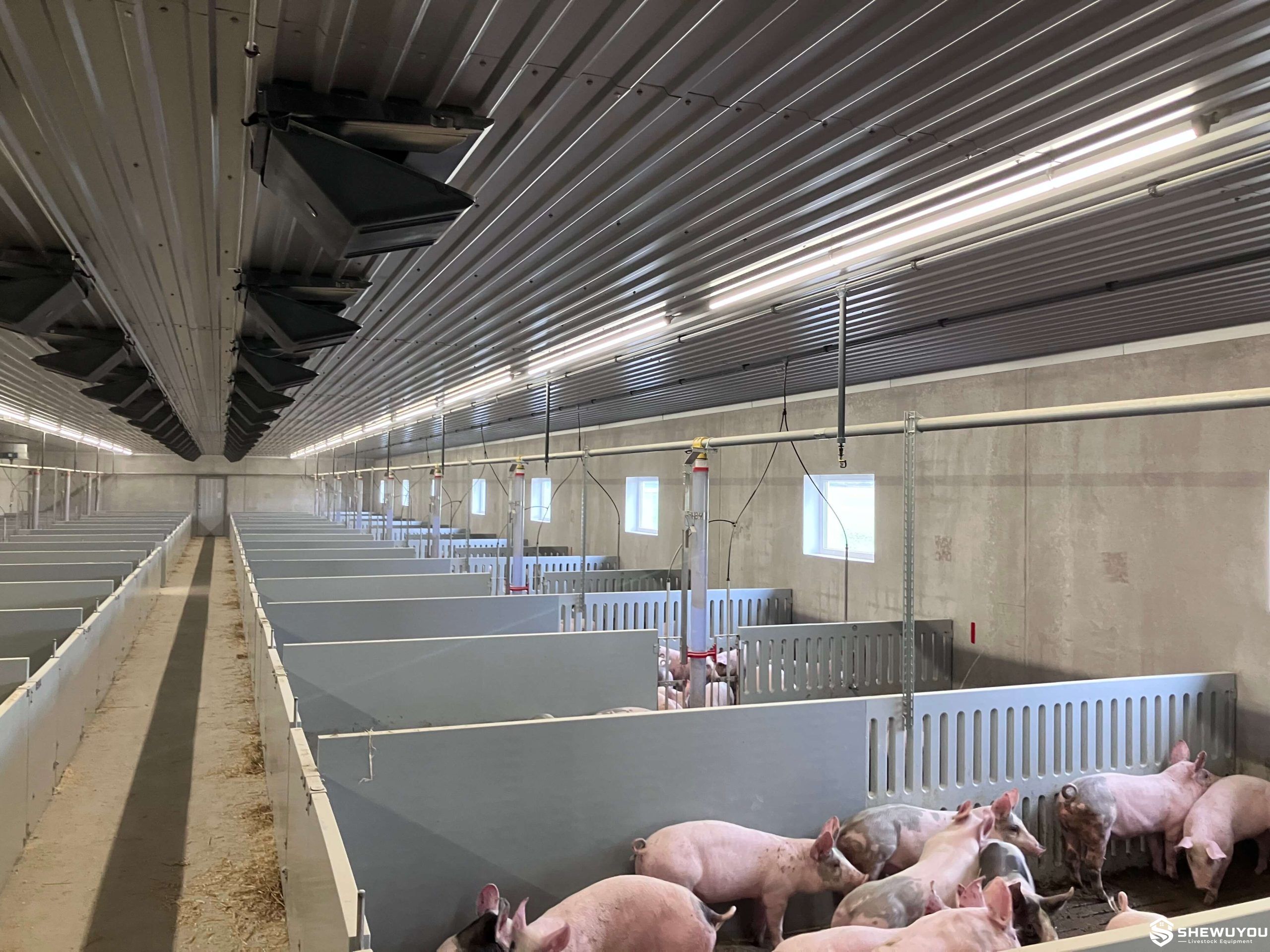 50 mm PP Plastic Panel Finishing Pig Pens