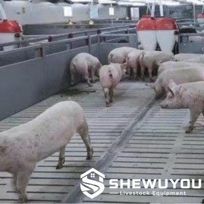 Plastic Panel Finisher Pig Pen with Slatted Floor
