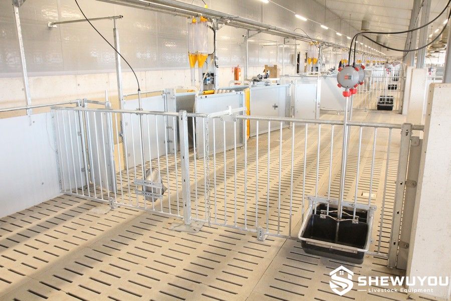 Panel and steel bar sow pig pen