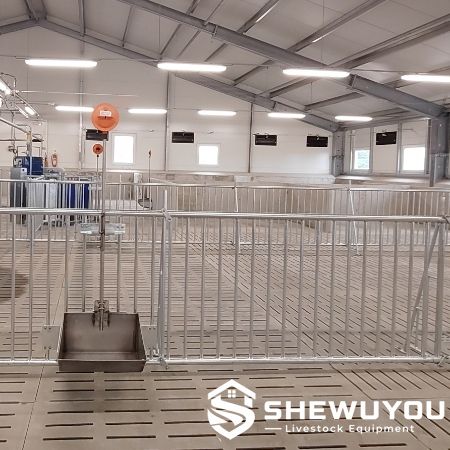 Galvanized steel pig housing pen