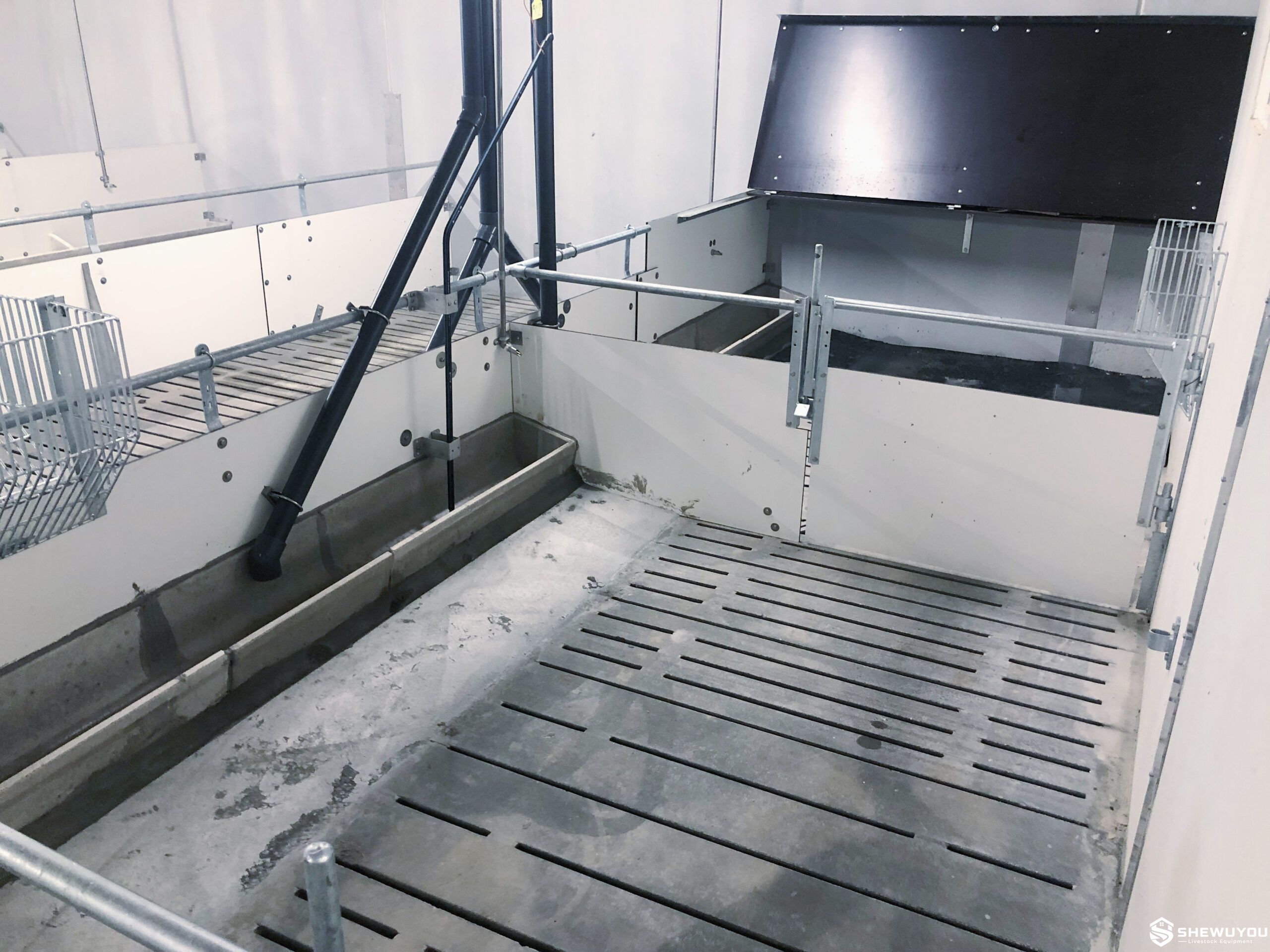 Plastic Panel Pig Pen with Slatted Flooring