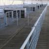 Galvanized Open Grid Pig Pen Divider