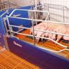 Stainless Steel Slatted Floor Support Bar