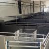 Piglet Nursery Pens