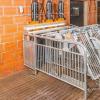RFID Free Access Sow Feeding Stall