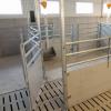 Pig Pens and Fencing