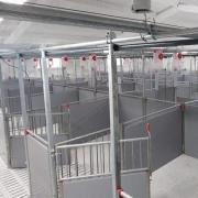 PVC Panel Sow Gestation Pen - SHEWUYOU Livestock Equipment