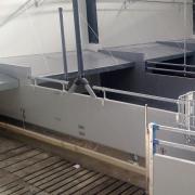 Wean-to-Finish Pig Pen - SHEWUYOU Livestock Equipment