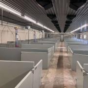 Heavy-Duty 50 mm Plastic Panel Pig Pen - SHEWUYOU Livestock Equipment