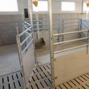 Panel and Steel Bar Pig Pen - SHEWUYOU Livestock Equipment