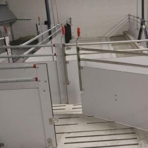 Compact Fiber Pig Pen Partition Panels - SHEWUYOU Livestock Equipment