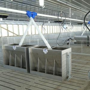 Commercial Modular Pig Penning & Fencing System - SHEWUYOU Livestock Equipment