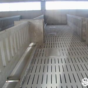 Small-Slot Concrete Slatted Floor for Piglets - SHEWUYOU Livestock Equipment