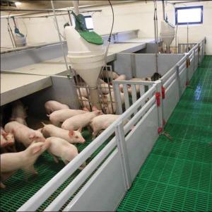 Multi-Zone Piglet Nursery Pen - SHEWUYOU Livestock Equipment