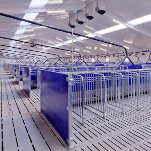 Heavy-Duty Fiber Panel Sow Gestation Pen - SHEWUYOU Livestock Equipment