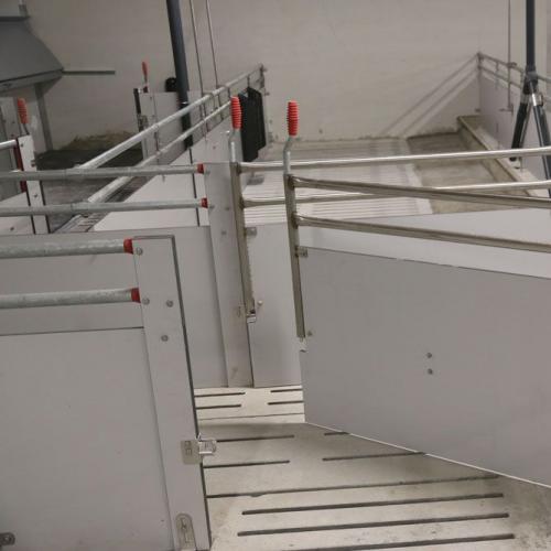 Compact Fiber Pig Pen Partition Panels - SHEWUYOU Livestock Equipment