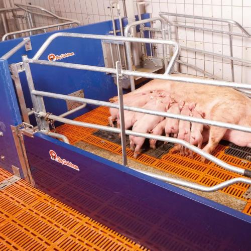 Stainless Steel Slatted Floor Support Bar - SHEWUYOU Livestock Equipment