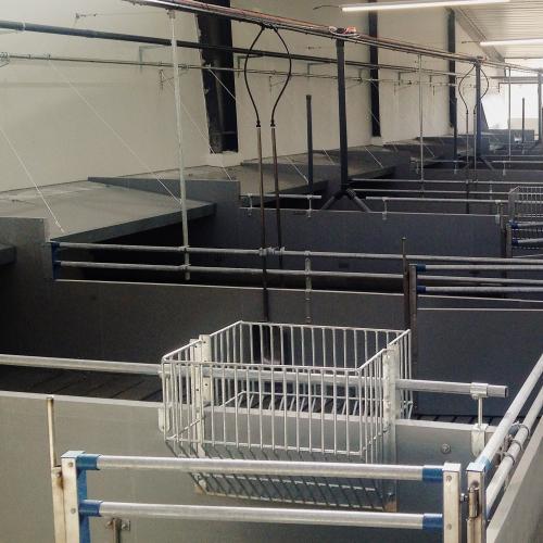 Fattening Pig Pen | Commercial Finisher Pen System - SHEWUYOU Livestock Equipment