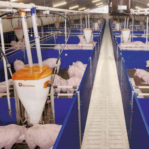 Finisher Pig Pen - SHEWUYOU Livestock Equipment