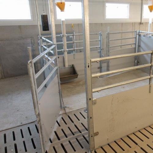 Panel and Steel Bar Pig Pen - SHEWUYOU Livestock Equipment