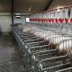 Sow Gestation Stalls