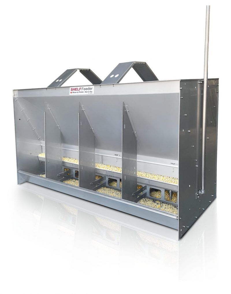 Stainless Steel Shelf Feeder for Wean-to-Finish Pigs
