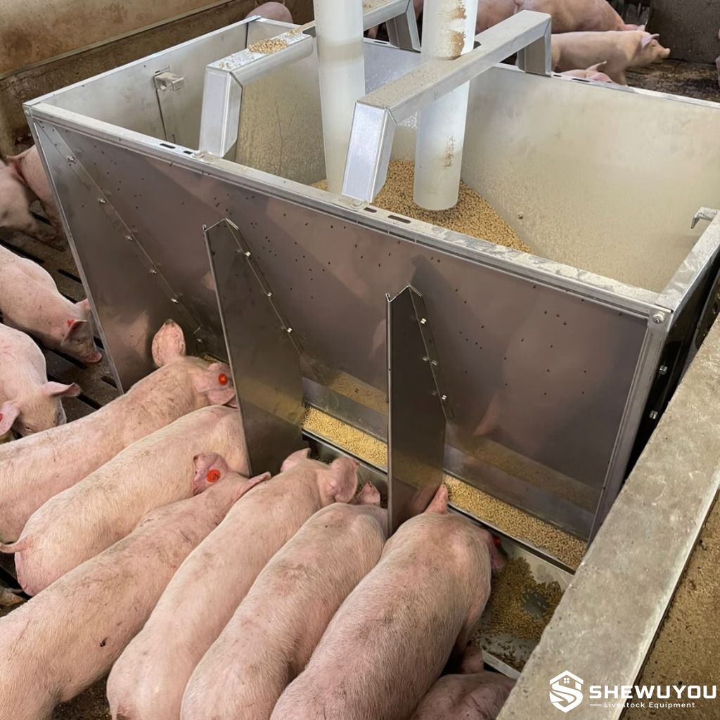 stainless steel box feeder for weaners