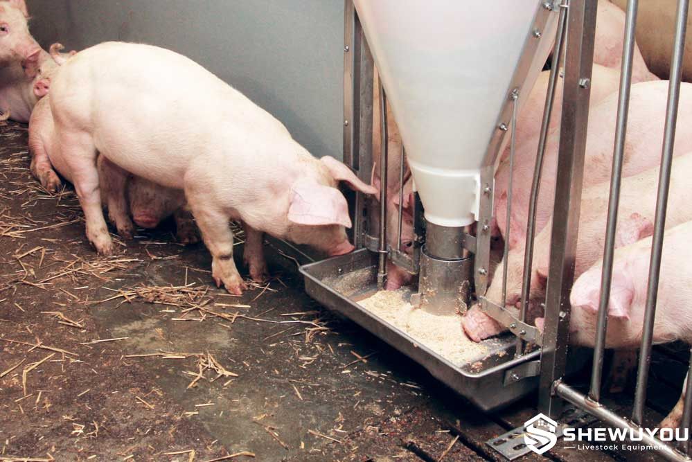 Self-Activated Nursery Pig Feeder Trough
